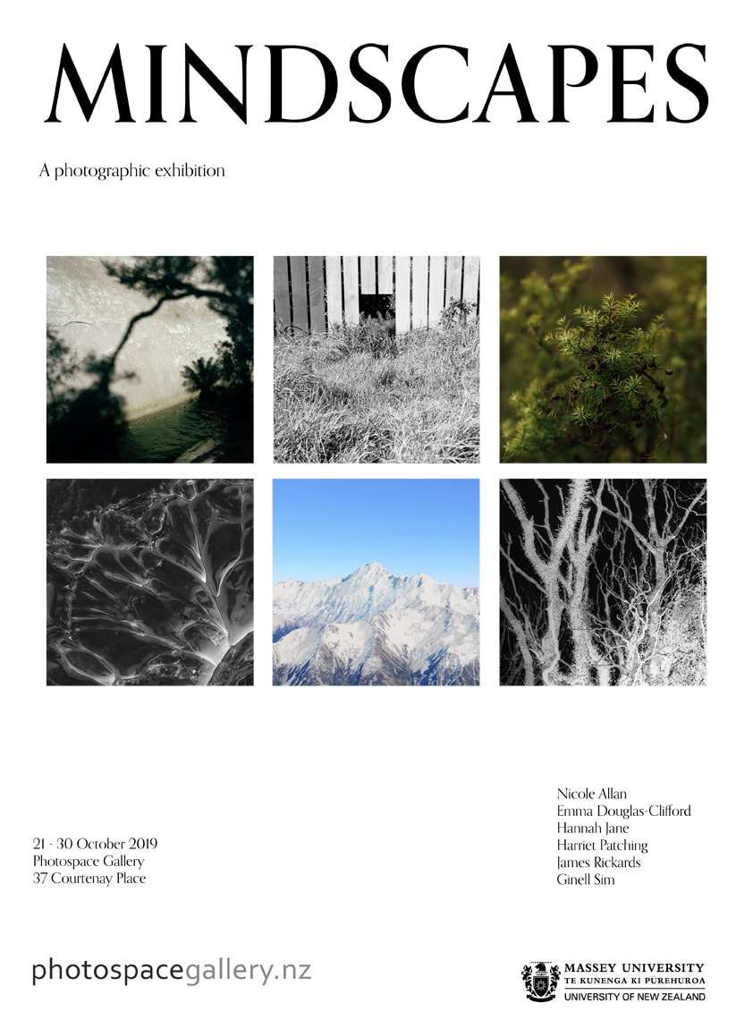 Mindscapes group photography exhibition, Nicole Allan, Emma Douglas-Clifford, Hannah Jane, Harriet Patching, James Rickards, Ginell Sim, Photospace Gallery contemporary New Zealand photography, 37 Courtenay Place, Wellington