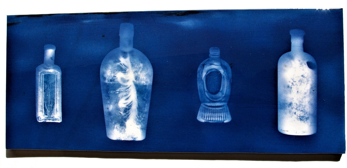 'Bottles' (cyanotype) - Susie Baker, 2016 Kaikoura earthquake,alternative process, cyanotype, chemigram, Photospace Gallery contemporary New Zealand photography exhibition