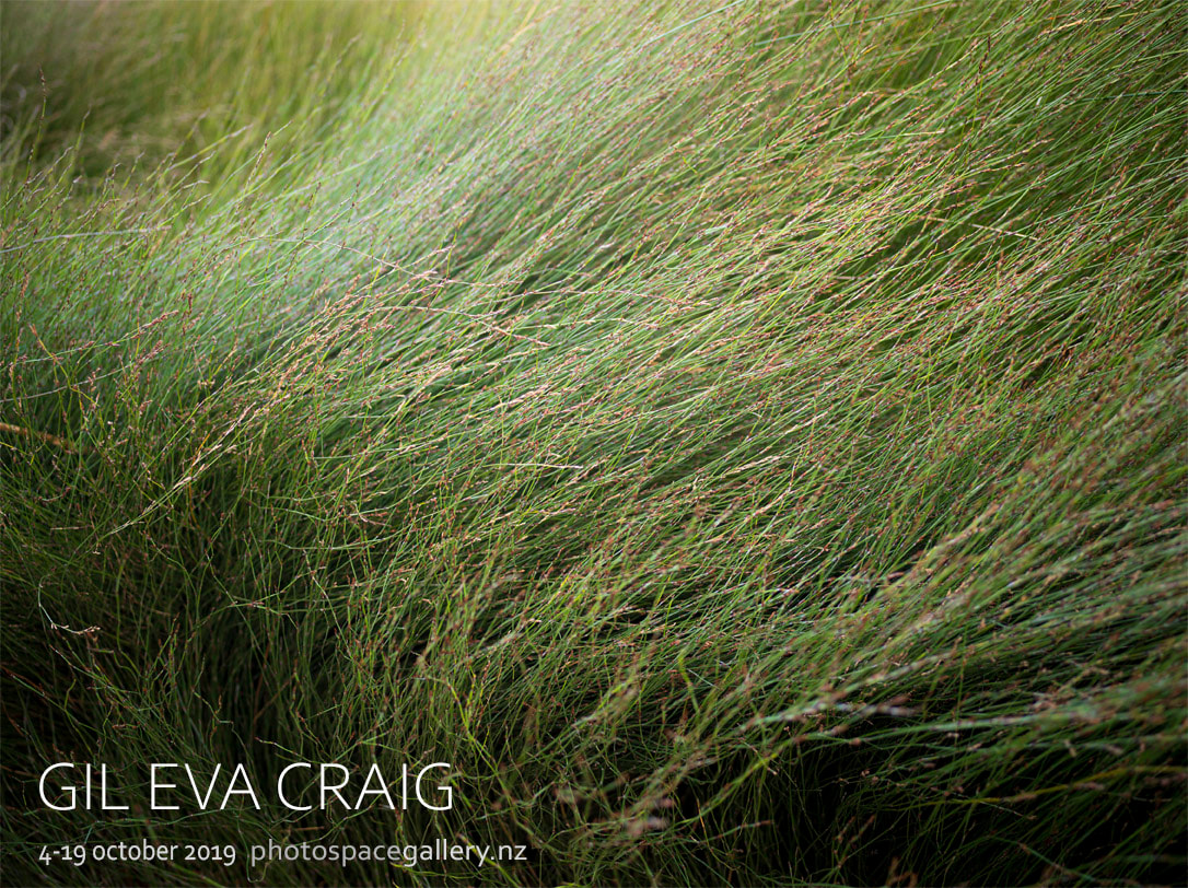 Gil Eva Craig exhibition poster 2019, New Zealand urban landscape photography, hotel rooms, Photospace Gallery contemporary New Zealand Photography