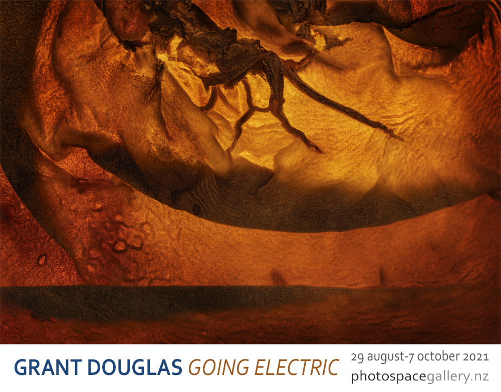 Photograph: Grant Douglas, from 'Going Electric', 29 August-9 October 2021, Photopace Gallery, Wellington, Aotearoa New Zealand, contemporary new Zealand photography gallery in Wellington, abstract photogrphy from nature, analog photographer goes digital