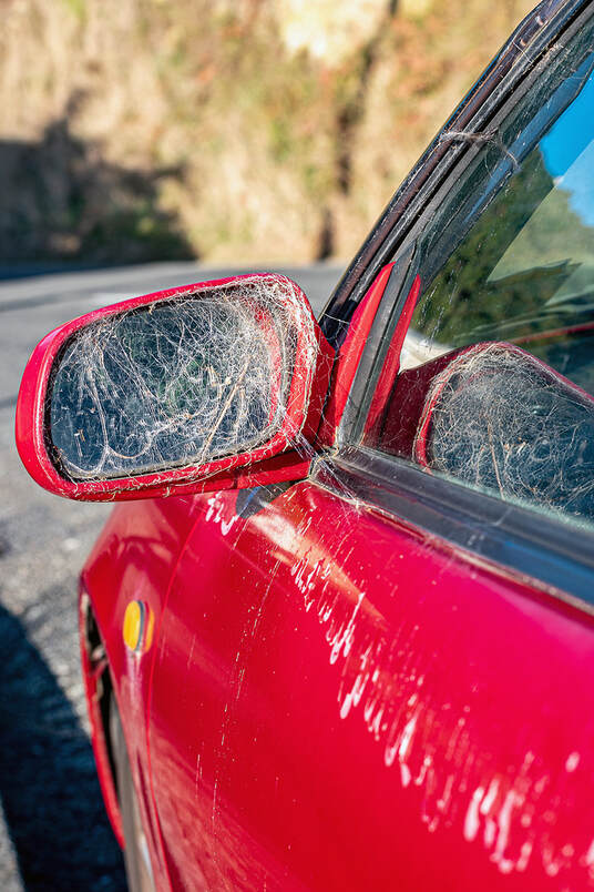 Peter Black - untitled 2, April 2020, 'A Month of Sundays - Responses to the Covid-19 Lockdown' online exhibition at PhotospaceGallery.nz, spider webs on red car, disused car
