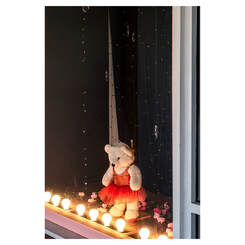 Peter Black, 'A Month of Sundays - Responses to the Covid-19 Lockdown' online exhibition at PhotospaceGallery.nz, teddy bear in window