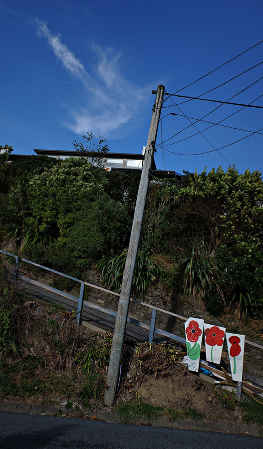 Reg Feuz - Cecil Road, Wadestown, Wellington, New Zealand, photography during the covid-19 lockdown in New Zealnd, Photospace Gallery contemporary New Zealand photography wellington nz, a month of sundays online exhibition, covid-19 street photography