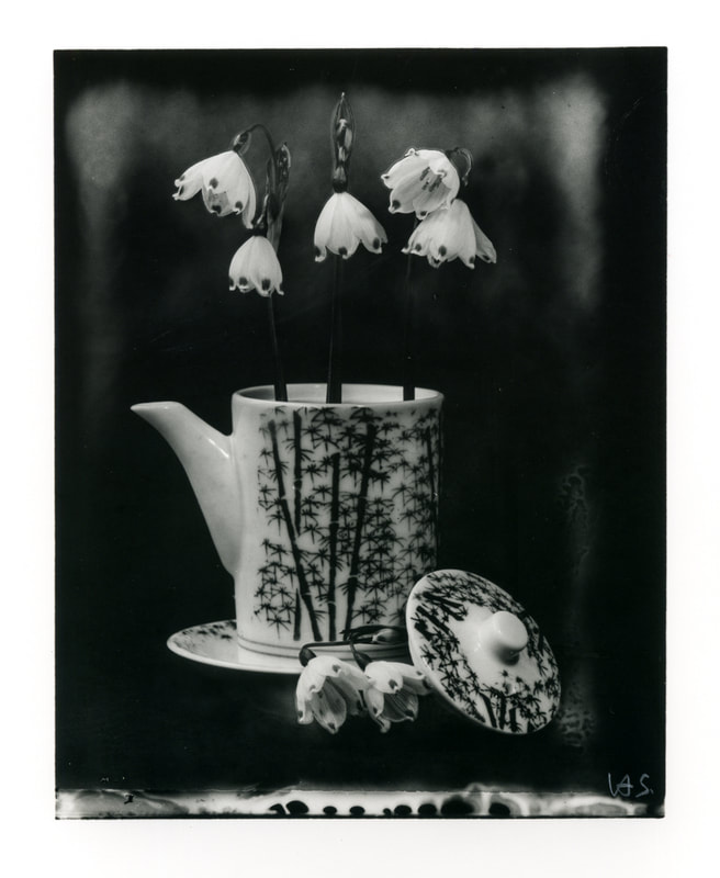 Heinz Sobiecki - Flower series 2019. Unique print on silver gelatin paper from Polaroid large format negative, Photospace Gallery Contemporary NZ Photography Wellington New Zealand, black and white photography, still life photograph