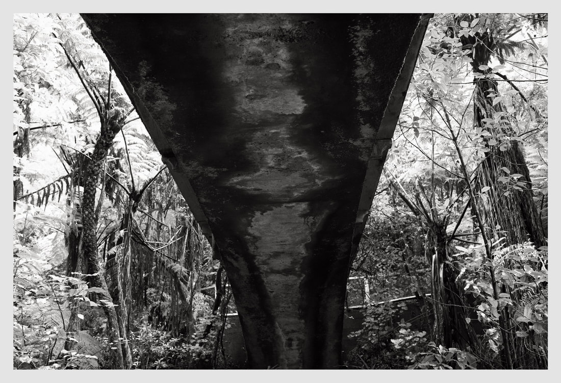 Julian Ward - 'Central Park 4', Online exhibition: 'A Month of Sundays - Responses to the Covid-19 Lockdown', photospace gallery contemporary photography wellington NZ, urban landscape photography, New Zealand bush, black and white photography