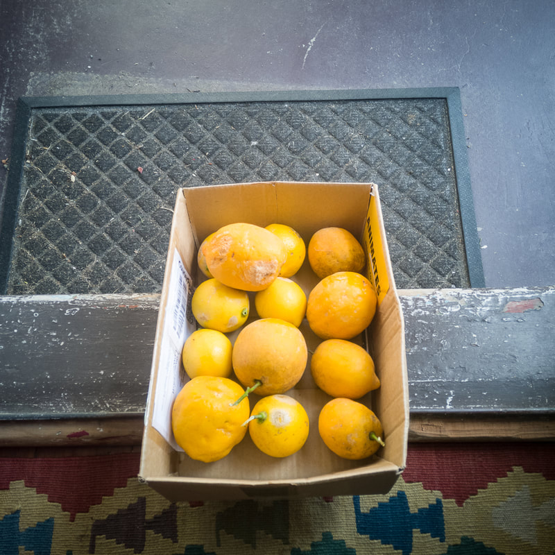 John Williams - Lemons drop off, Moera, photography during the covid-19 lockdown in New Zealand, Photospace Gallery contemporary New Zealand photography wellington nz, a month of sundays online exhibition, documentary photography during covid-19 level 4 lockdown, Moera Lower Hutt New Zealand