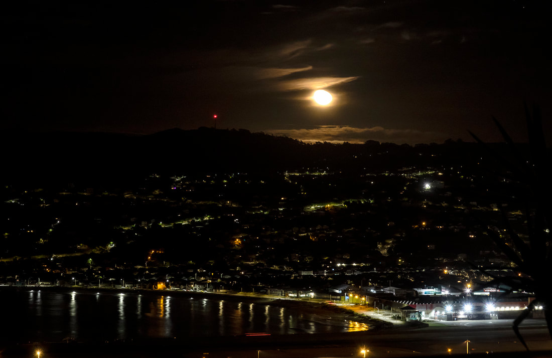 Nick Servian - 'The Moon Setting over Lyall Bay', Online exhibition: A Month of Sundays - Responses to the Covid-19 Lockdown, Photospace Gallery contemporary New Zealand photography, wellington NZ, photography during covid-19 lockdown period in New Zealand, night cityscape photography