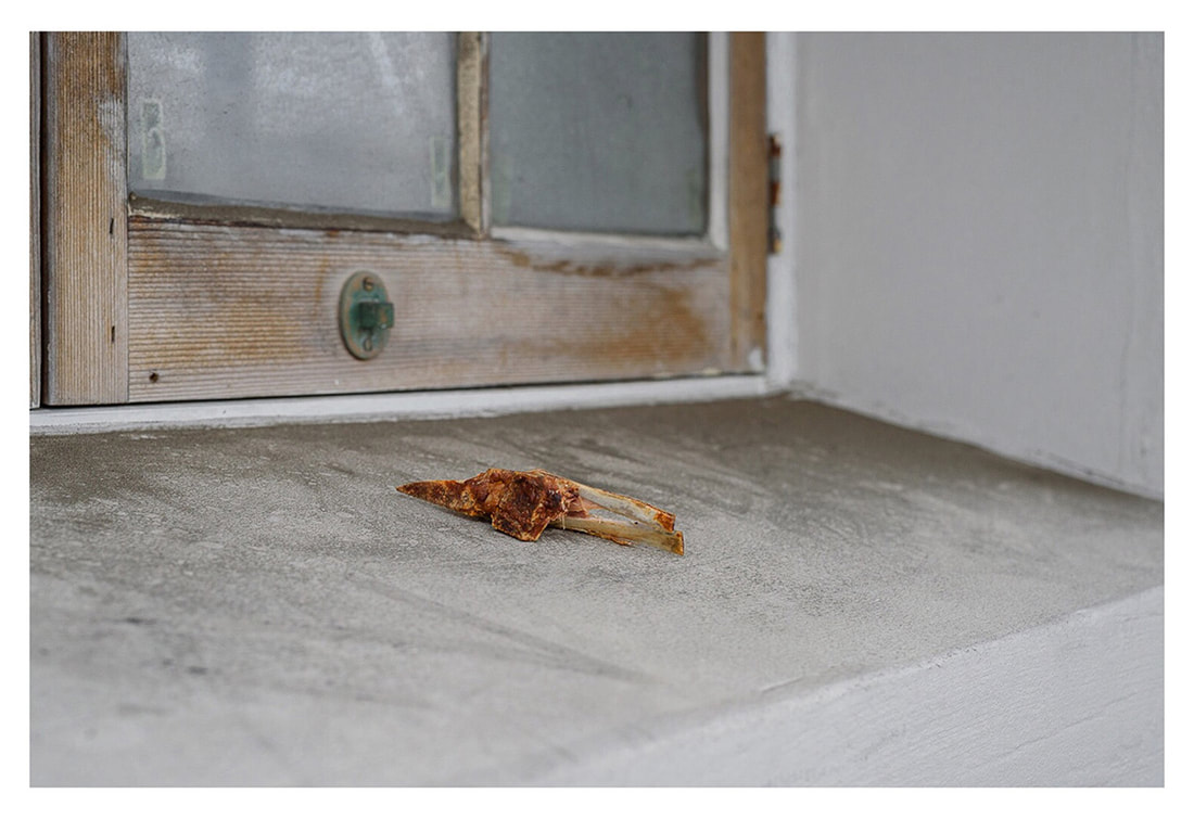 Peter Black - untitled 19, April 2020, A Month of Sundays - Responses to the Covid-19 Lockdown' online exhibition at PhotospaceGallery.nz, photography during covid-19 lockdown in New Zealand, meat on window sill