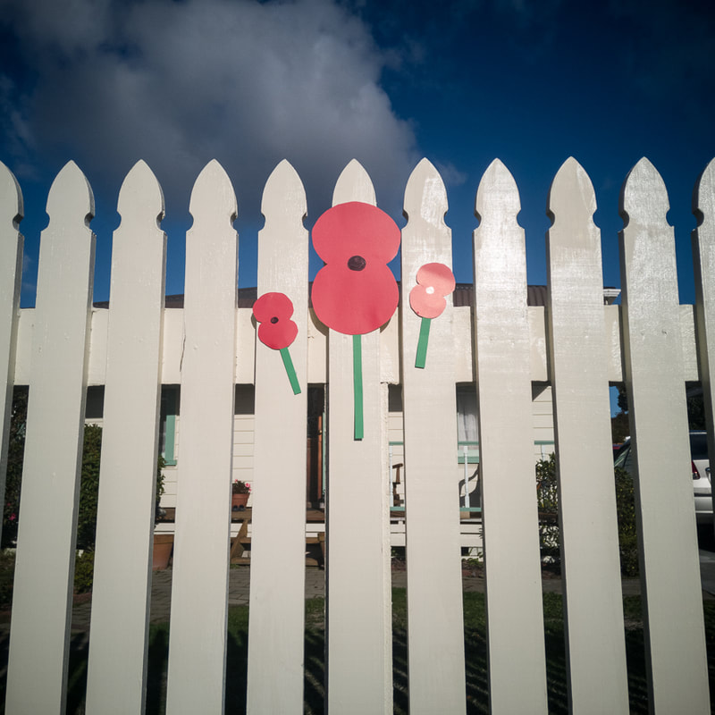 John Williams - Poppies on fence, Moera, photography during the covid-19 lockdown in New Zealand, Photospace Gallery contemporary New Zealand photography wellington nz, a month of sundays online exhibition, documentary photography during covid-19 level 4 lockdown, Moera Lower Hutt New Zealand
