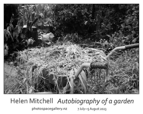 Photograph by Helen Mitchell from 'Autobiography of a garden', contemporary New Zealand photography exhibition at Photospace Gallery 37 Courtenay Place Wellington New Zealand