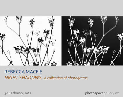 Rebecca Macfie - 'Night Shadows - a collection of photograms' - 3-26 Feb. 2022, photograms from nature, Photospace Gallery contemporary New Zealand photography gallery in Wellington Aotearoa New Zealand, New Zealand's longest running specialist photography gallery is Photospace in Wellington opened in 1998s 
